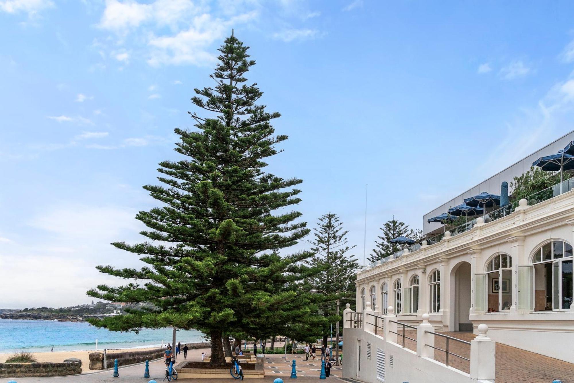 Modern 1Br Abode With Courtyard Steps To The Beach Sydney Ngoại thất bức ảnh